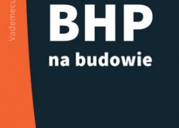 Klucha Waldemar – BHP na budowie
