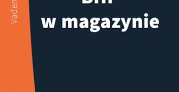 Zieliński Lesław – BHP w magazynie