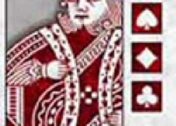 Professional No-Limit Hold’em