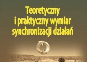 Wojciech Więcek, Krystian Frącik – Teoretyczny i praktyczny wymiar synchronizacji działań