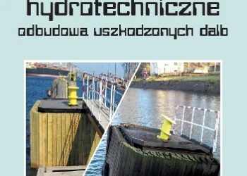 Jerzy Wojciech Drążkiewicz – Portowe budowle hydrotechniczne. Odbudowa uszkodzonych dalb
