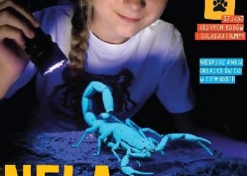 Nela – Nela i sekrety dalekich lądów