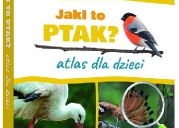 Dominik Marchowski – Jaki to ptak? Atlas dla dzieci