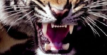 Jakub Dobrzyński – Warszawskie Zoo