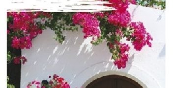 Rodos [Pascal Holiday]