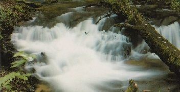 Artur Pawłowski – Roztocze Środkowe