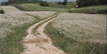 Marek Nasiadka – Roztocze Zachodnie