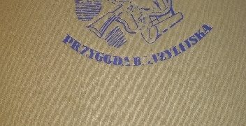 Peter Fleming – Przygoda brazylijska