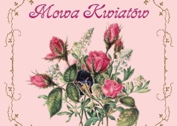 Gill Saunders, Gill Davies – Miłosna mowa kwiatów