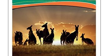 Praca zbiorowa – Australia. Zielony Przewodnik.