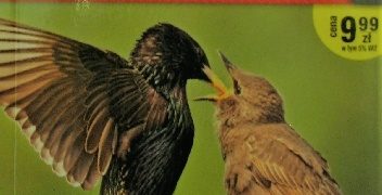 Magdalena Janiszewska, Radosław Włodarczyk – Atlas ptaków Polski. Przewodnik obserwatora