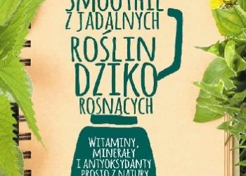 Evelyne Laye – Smoothie z jadalnych roślin dziko rosnących. Witaminy, minerały, antyoksydanty prosto z natury
