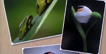 Grzegorz Bobrowicz – Cuda Przyrody