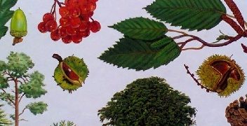 Alan Mitchell – Drzewa