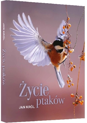Jan Król – Życie ptaków