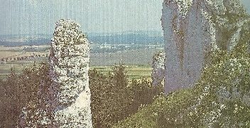 Chrońmy Przyrodę Ojczystą 4/1992