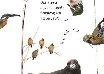 Marek Pióro – Kalendarz ptaków. Opowieści o ptasim życiu i zwyczajach na cały rok
