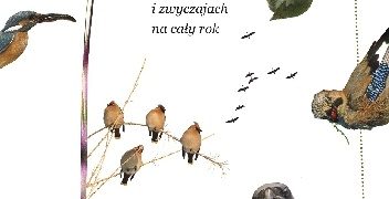 Marek Pióro – Kalendarz ptaków. Opowieści o ptasim życiu i zwyczajach na cały rok