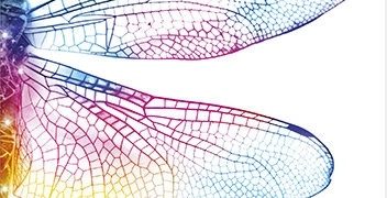 Eben Alexander – Serce świadomości. Podróż neurochirurga w świat zjawisk niewyjaśnionych