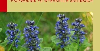 Czesława Trąba – Rośliny dziko występujące i ich zastosowanie