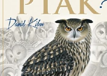 Dawid Kilon – Gdzie ten ptak