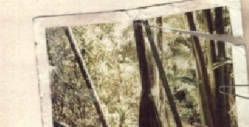 Grzegorz Skobel – Dżungle uzależnień