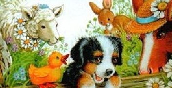 Zofia Siewak-Sojka – W poszukiwaniu przygód