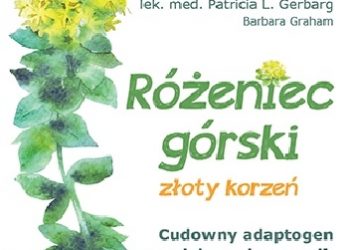 Różeniec górski – złoty korzeń. Cudowny adaptogen na zwiększenie energii, eliminację stresu, lepszą pracę mózgu i wiele innych