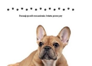 Sophie Collins – Co wie twój pies?