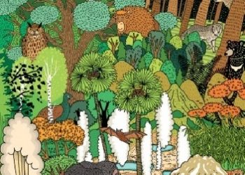 Daniel Mizieliński, Aleksandra Mizielińska – Parki narodowe. Podróże z Ulą i Kubą