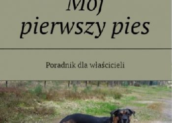 Daniel Kawa – Mój pierwszy pies