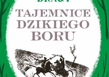 Tonke Dragt – Tajemnice Dzikiego Boru
