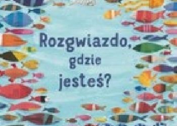 Stephane Barroux – Rozgwiazdo, gdzie jesteś?
