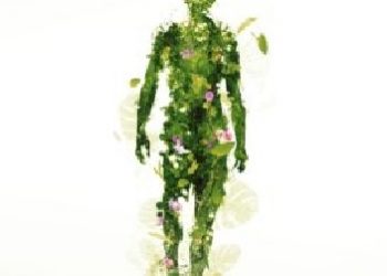 Martin MacInnes – Infinite Ground