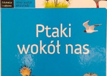 Autor nieznany – Ptaki wokół nas