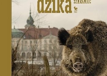 Arkadiusz Szaraniec – Warszawa dzika