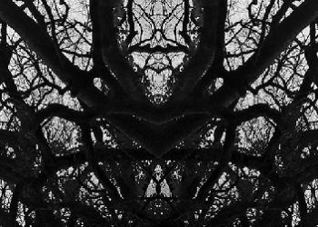 Christopher Nuin – From Roots