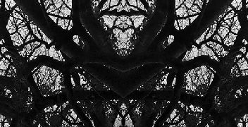 Christopher Nuin – From Roots