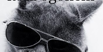 Beata Worobiec – Nie odwracaj kota ogonem