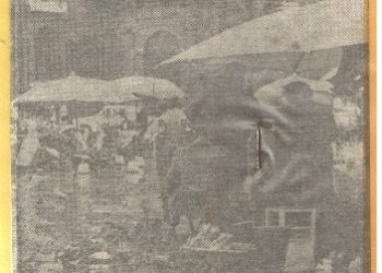 Jacek Stwora – Kataryniarz i złoty tron