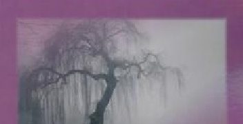 Katarzyna Maria Wasilewska-Ostrowska – Samotność młodzieży