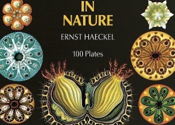 Ernst Haeckel, Olaf Breidbach – Art Forms in Nature